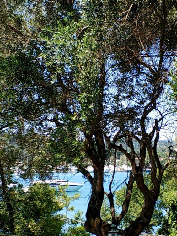 Coritos Apartments Corfu Kontokali Zewnętrze zdjęcie